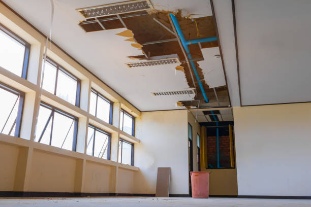 Best Ceiling water damage repair  in Ludowici, GA