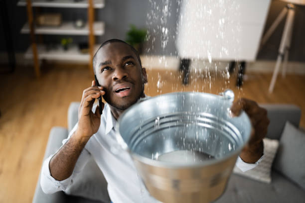 Water damage restoration insurance claims in Ludowici, GA