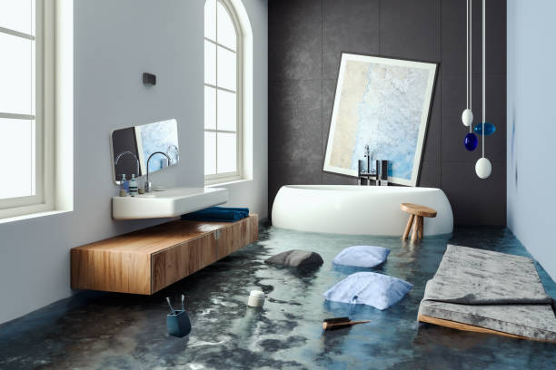 Best Flooded house restoration  in Ludowici, GA