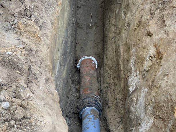 Best Emergency water extraction  in Ludowici, GA