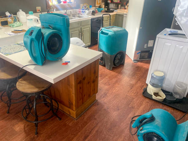 Best Carpet water damage restoration  in Ludowici, GA