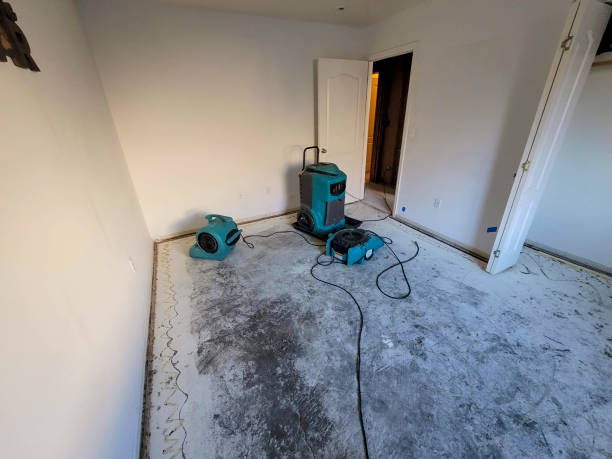 Best Flood damage cleanup  in Ludowici, GA