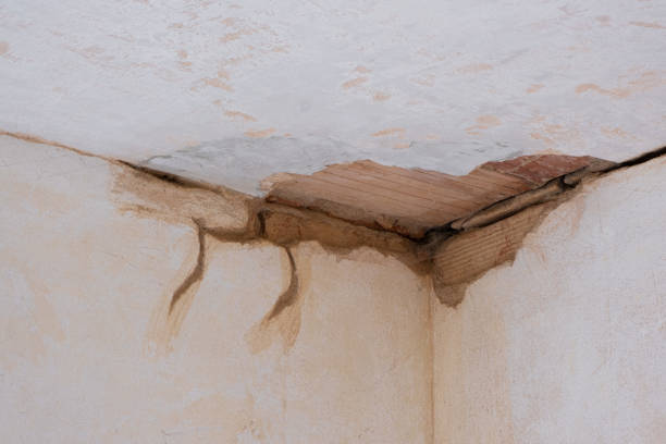 Carpet water damage restoration in Ludowici, GA