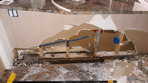 Best Flooded house restoration  in Ludowici, GA