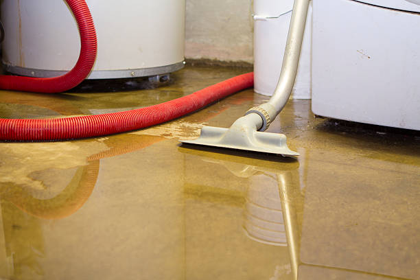 Best Emergency water damage restoration  in Ludowici, GA