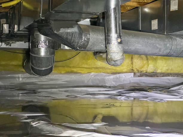 Best Water damage restoration cost  in Ludowici, GA