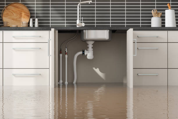 Best 24/7 water damage repair  in Ludowici, GA