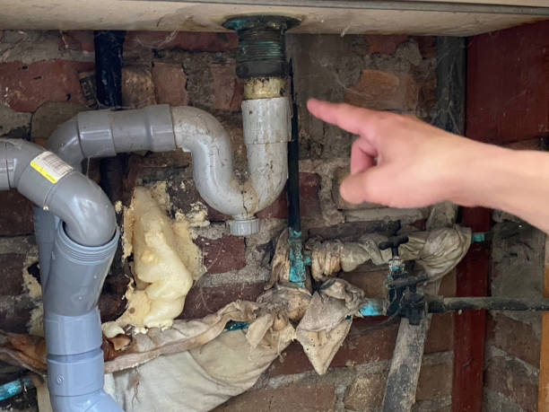 Best Residential water damage restoration  in Ludowici, GA