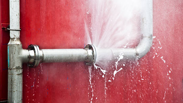 Best Sewage cleanup and water damage restoration  in Ludowici, GA